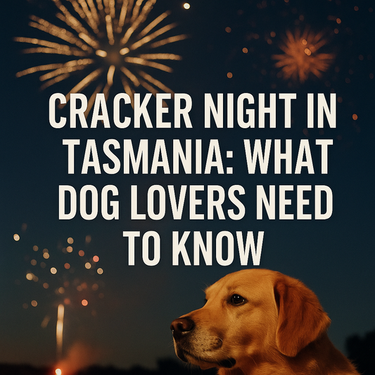 A golden retriever sits calmly in front of a bonfire, gazing at fireworks in the night sky. The scene is warm and peacefulCracker Night & Canines: A Vineyard Reminder