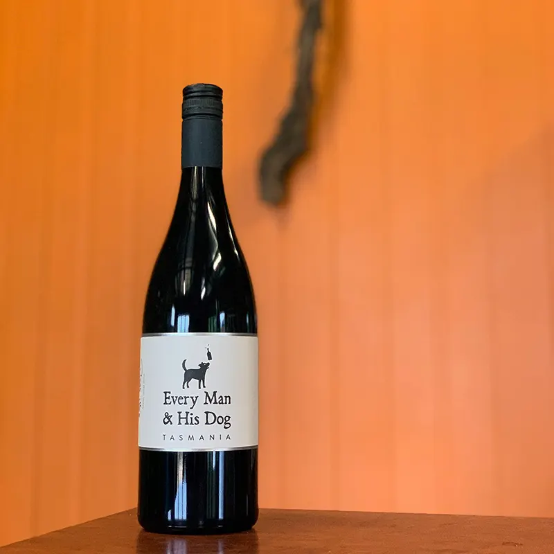 Pinot Noir 2022 – Every Man