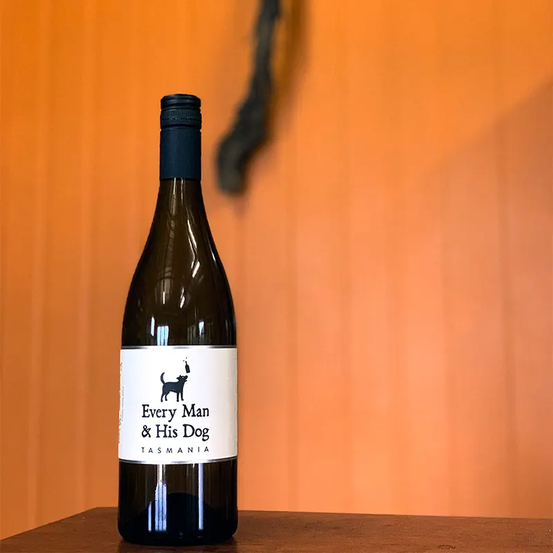 Sauvignon Blanc 2022 – Every Man