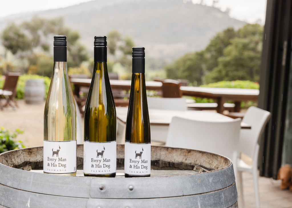 wine tasting