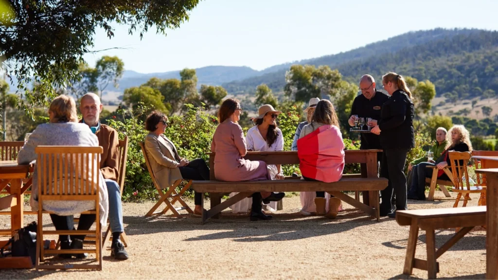 Outdoor Wine Tasting Experience with Valley Views